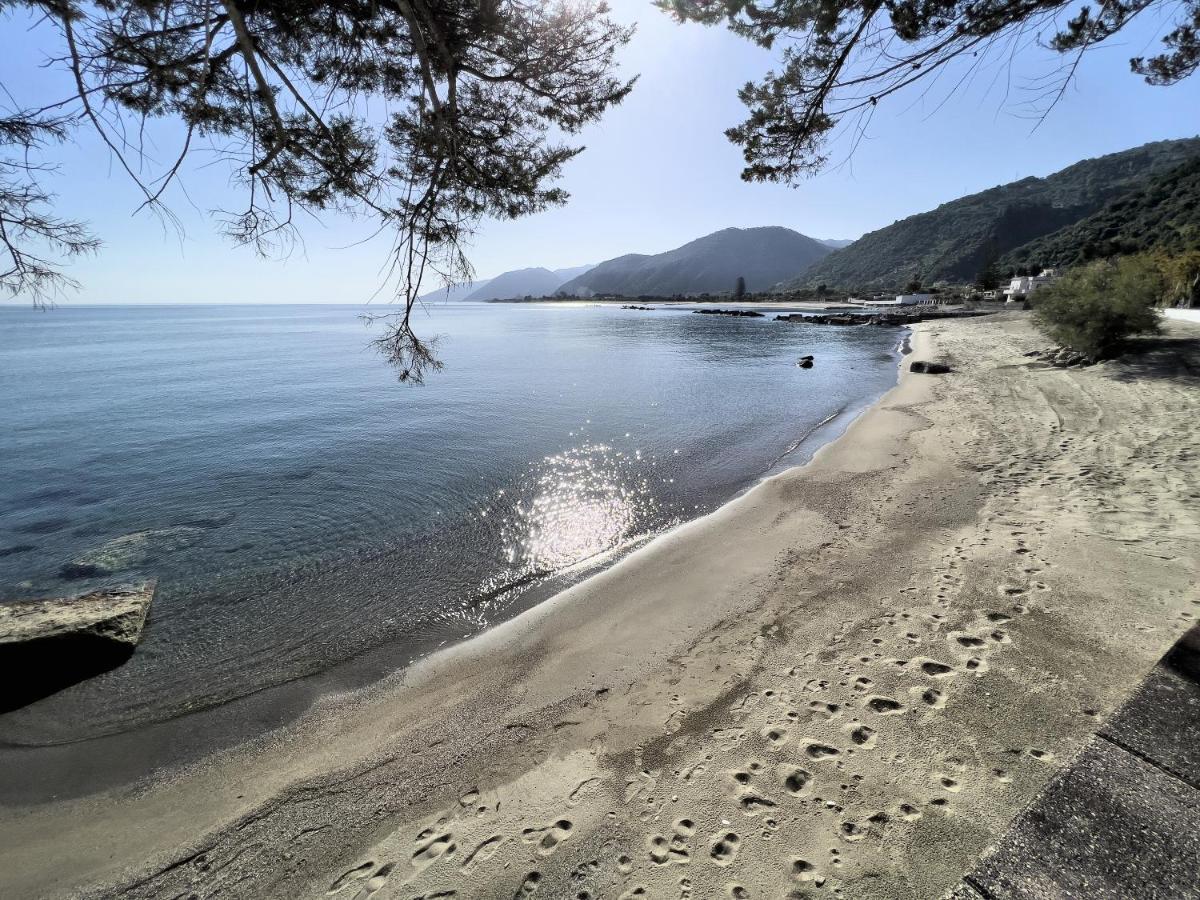 Testa Di Monaco - Basic Beach Accommodations Capo dʼOrlando Eksteriør bilde