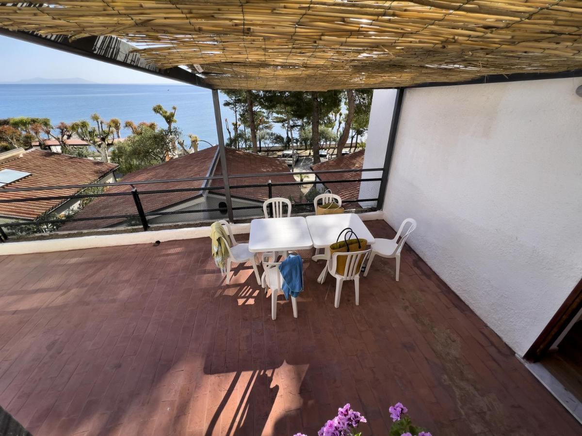 Testa Di Monaco - Basic Beach Accommodations Capo dʼOrlando Eksteriør bilde